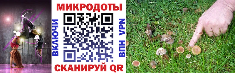 Псилоцибиновые грибы GOLDEN TEACHER Горячий Ключ